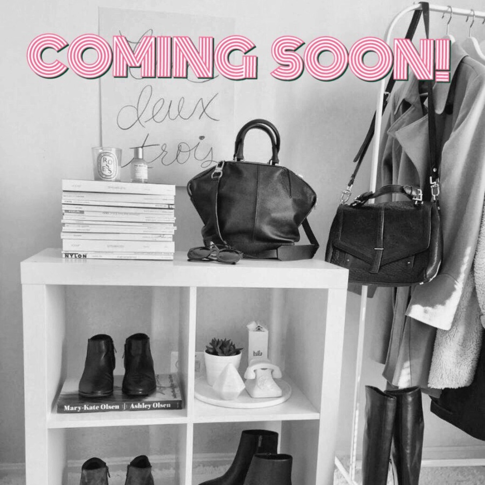 Closet Update - image 1